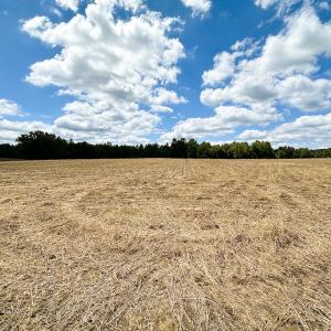 Photo #19 of Off Bobcat Ln, Franklin, VA 30.0 acres