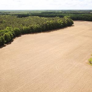 Photo #20 of Off Bobcat Ln, Franklin, VA 30.0 acres