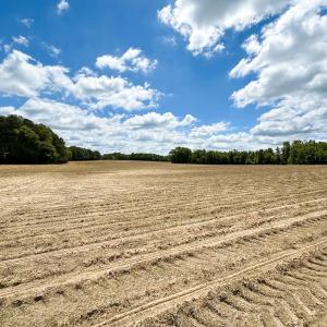 Photo #21 of Off Bobcat Ln, Franklin, VA 30.0 acres