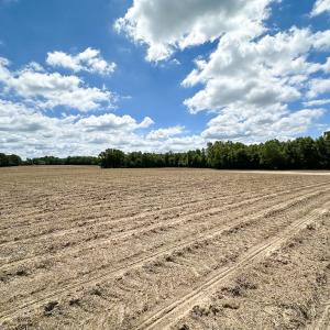 Photo #22 of Off Bobcat Ln, Franklin, VA 30.0 acres