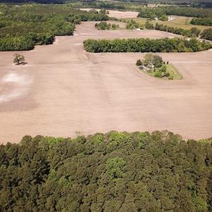 Photo #23 of Off Bobcat Ln, Franklin, VA 30.0 acres