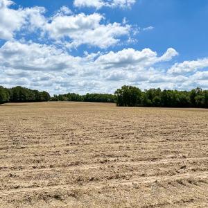 Photo #24 of Off Bobcat Ln, Franklin, VA 30.0 acres