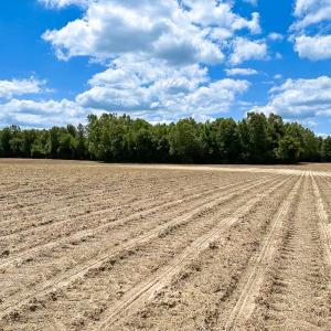 Photo #25 of Off Bobcat Ln, Franklin, VA 30.0 acres