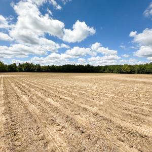 Photo #26 of Off Bobcat Ln, Franklin, VA 30.0 acres