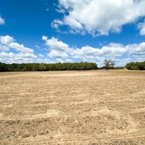 Photo #27 of Off Bobcat Ln, Franklin, VA 30.0 acres