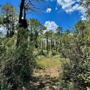 Photo #18 of SOLD property in Off Dunbar Canal Rd - Lot #44, Currituck, NC 60.0 acres
