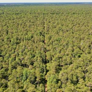 Photo #22 of SOLD property in Off Dunbar Canal Rd - Lot #44, Currituck, NC 60.0 acres