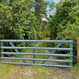 Photo #3 of SOLD property in Off Dunbar Canal Rd - Lot #44, Currituck, NC 60.0 acres