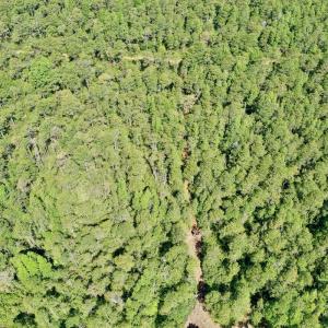 Photo #24 of SOLD property in Off Dunbar Canal Rd - Lot #44, Currituck, NC 60.0 acres