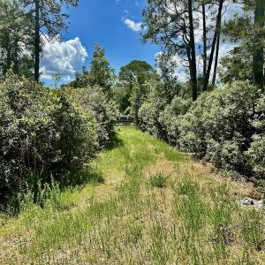 Photo #25 of SOLD property in Off Dunbar Canal Rd - Lot #44, Currituck, NC 60.0 acres