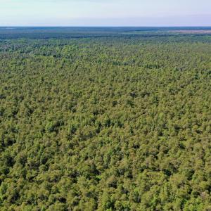 Photo #28 of SOLD property in Off Dunbar Canal Rd - Lot #44, Currituck, NC 60.0 acres