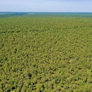 Photo #30 of SOLD property in Off Dunbar Canal Rd - Lot #44, Currituck, NC 60.0 acres