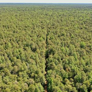 Photo #33 of SOLD property in Off Dunbar Canal Rd - Lot #44, Currituck, NC 60.0 acres
