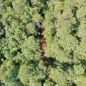 Photo #36 of SOLD property in Off Dunbar Canal Rd - Lot #44, Currituck, NC 60.0 acres