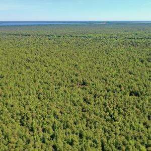 Photo #40 of SOLD property in Off Dunbar Canal Rd - Lot #44, Currituck, NC 60.0 acres