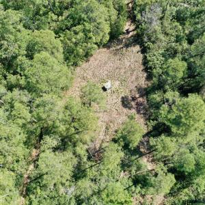 Photo #10 of SOLD property in Off Dunbar Canal Rd - Lot #44, Currituck, NC 60.0 acres