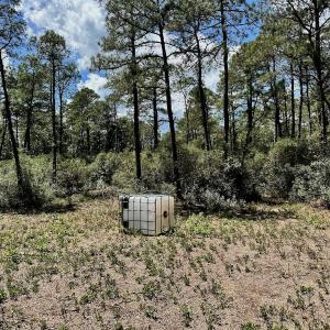 Photo #11 of SOLD property in Off Dunbar Canal Rd - Lot #44, Currituck, NC 60.0 acres