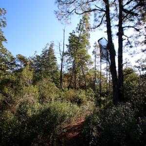 Photo #44 of SOLD property in Off Dunbar Canal Rd - Lot #44, Currituck, NC 60.0 acres