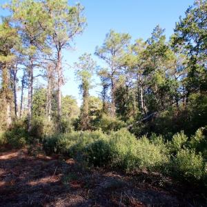 Photo #46 of SOLD property in Off Dunbar Canal Rd - Lot #44, Currituck, NC 60.0 acres
