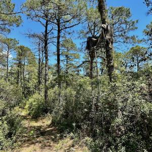 Photo #47 of SOLD property in Off Dunbar Canal Rd - Lot #44, Currituck, NC 60.0 acres