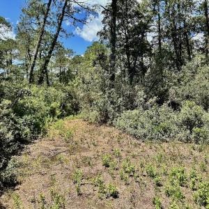 Photo #50 of SOLD property in Off Dunbar Canal Rd - Lot #44, Currituck, NC 60.0 acres
