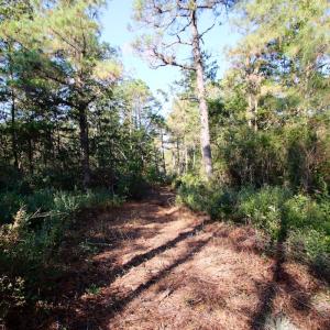 Photo #53 of SOLD property in Off Dunbar Canal Rd - Lot #44, Currituck, NC 60.0 acres