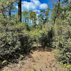 Photo #65 of SOLD property in Off Dunbar Canal Rd - Lot #44, Currituck, NC 60.0 acres