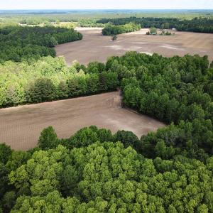 Photo #2 of SOLD property in Off Bobcat Ln, Franklin, VA 55.0 acres