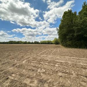 Photo #3 of SOLD property in Off Bobcat Ln, Franklin, VA 55.0 acres