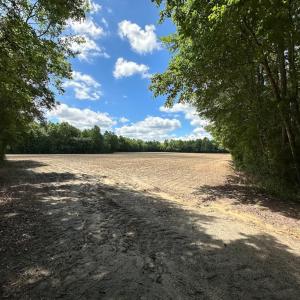 Photo #5 of SOLD property in Off Bobcat Ln, Franklin, VA 55.0 acres
