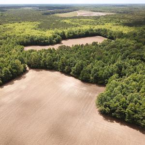 Photo #6 of SOLD property in Off Bobcat Ln, Franklin, VA 55.0 acres