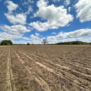 Photo #7 of SOLD property in Off Bobcat Ln, Franklin, VA 55.0 acres