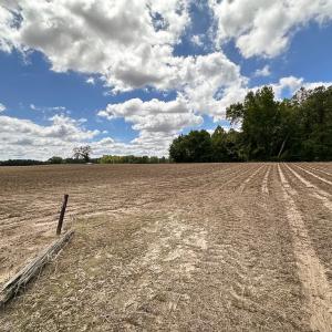 Photo #10 of SOLD property in Off Bobcat Ln, Franklin, VA 55.0 acres