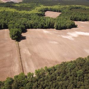 Photo #14 of SOLD property in Off Bobcat Ln, Franklin, VA 55.0 acres