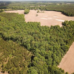 Photo #17 of SOLD property in Off Bobcat Ln, Franklin, VA 55.0 acres