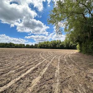 Photo #18 of SOLD property in Off Bobcat Ln, Franklin, VA 55.0 acres
