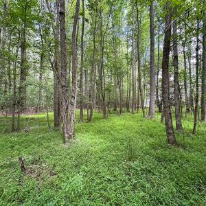 Photo #19 of SOLD property in Off Bobcat Ln, Franklin, VA 55.0 acres