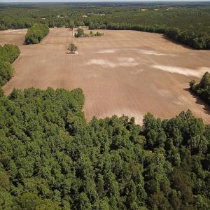 Photo #20 of SOLD property in Off Bobcat Ln, Franklin, VA 55.0 acres