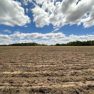 Photo #22 of SOLD property in Off Bobcat Ln, Franklin, VA 55.0 acres