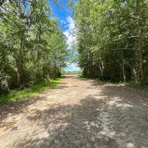 Photo #23 of SOLD property in Off Bobcat Ln, Franklin, VA 55.0 acres