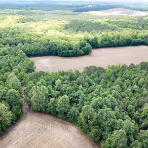 Photo #26 of SOLD property in Off Bobcat Ln, Franklin, VA 55.0 acres