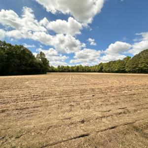 Photo #27 of SOLD property in Off Bobcat Ln, Franklin, VA 55.0 acres