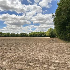 Photo #31 of SOLD property in Off Bobcat Ln, Franklin, VA 55.0 acres