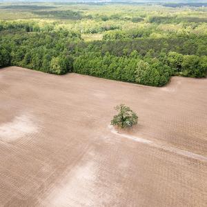 Photo #32 of SOLD property in Off Bobcat Ln, Franklin, VA 55.0 acres