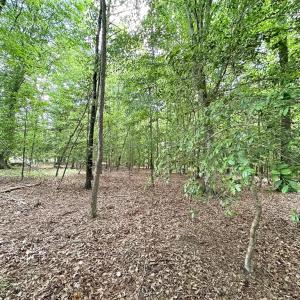 Photo #35 of SOLD property in Off Bobcat Ln, Franklin, VA 55.0 acres