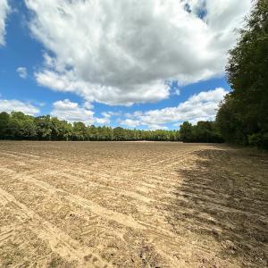 Photo #36 of SOLD property in Off Bobcat Ln, Franklin, VA 55.0 acres