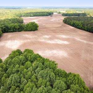 Photo #2 of SOLD property in Off Bobcat Ln, Franklin, VA 71.0 acres