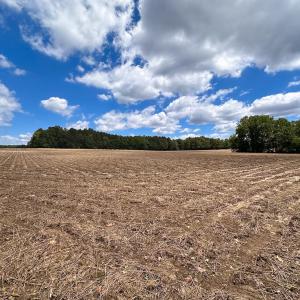 Photo #3 of SOLD property in Off Bobcat Ln, Franklin, VA 71.0 acres