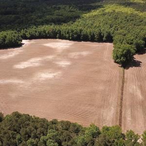 Photo #6 of SOLD property in Off Bobcat Ln, Franklin, VA 71.0 acres