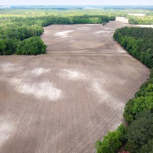 Photo #8 of SOLD property in Off Bobcat Ln, Franklin, VA 71.0 acres